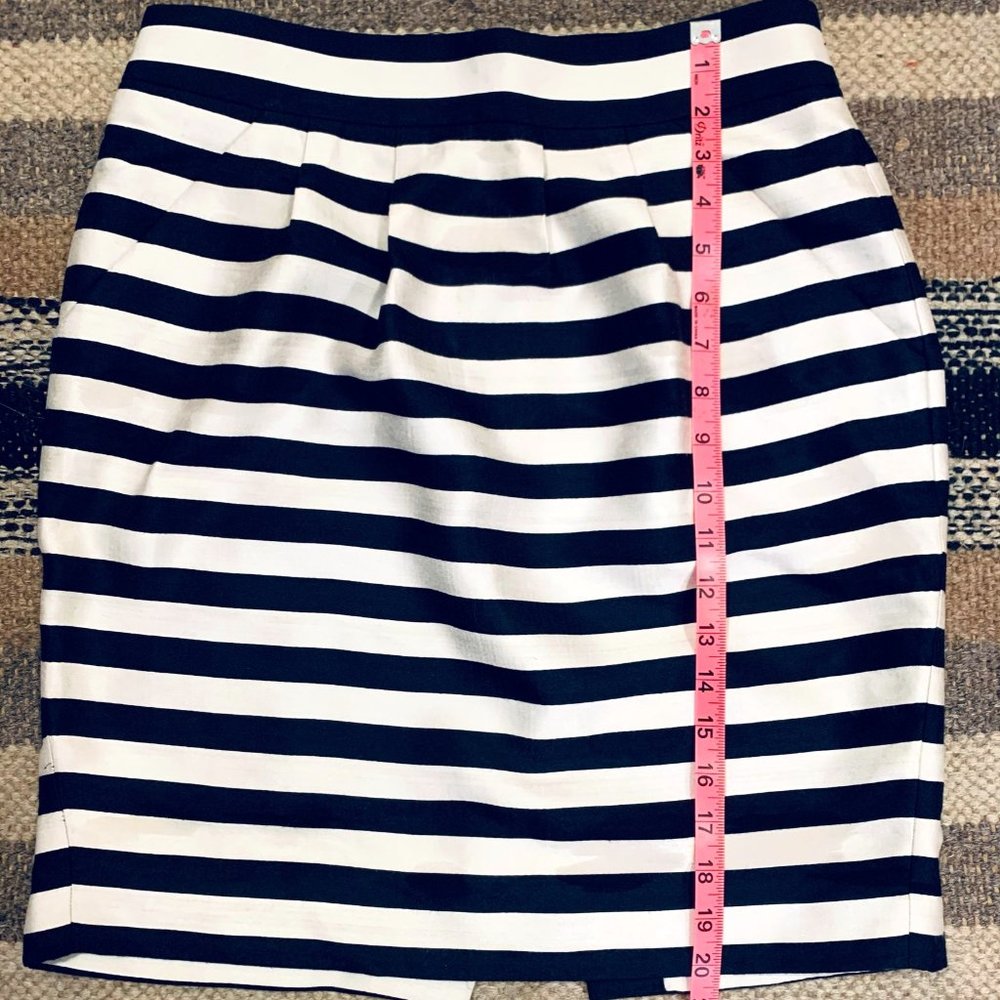 Banana Republic Skirt
